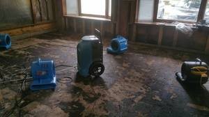 Mold Damage Restoration In Progress