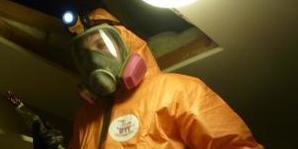 Mold Removal Technician Cleaning Up Infestation