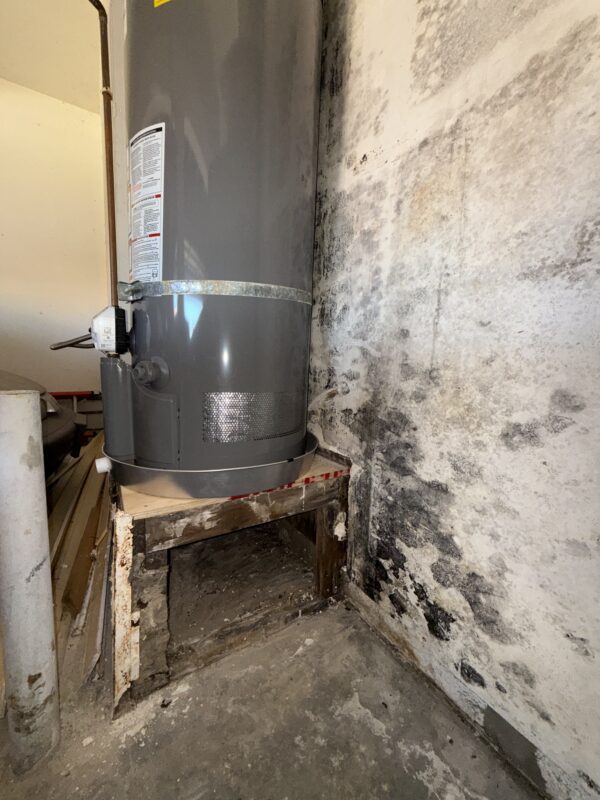 Mold growth behind water heater after moisture damage
