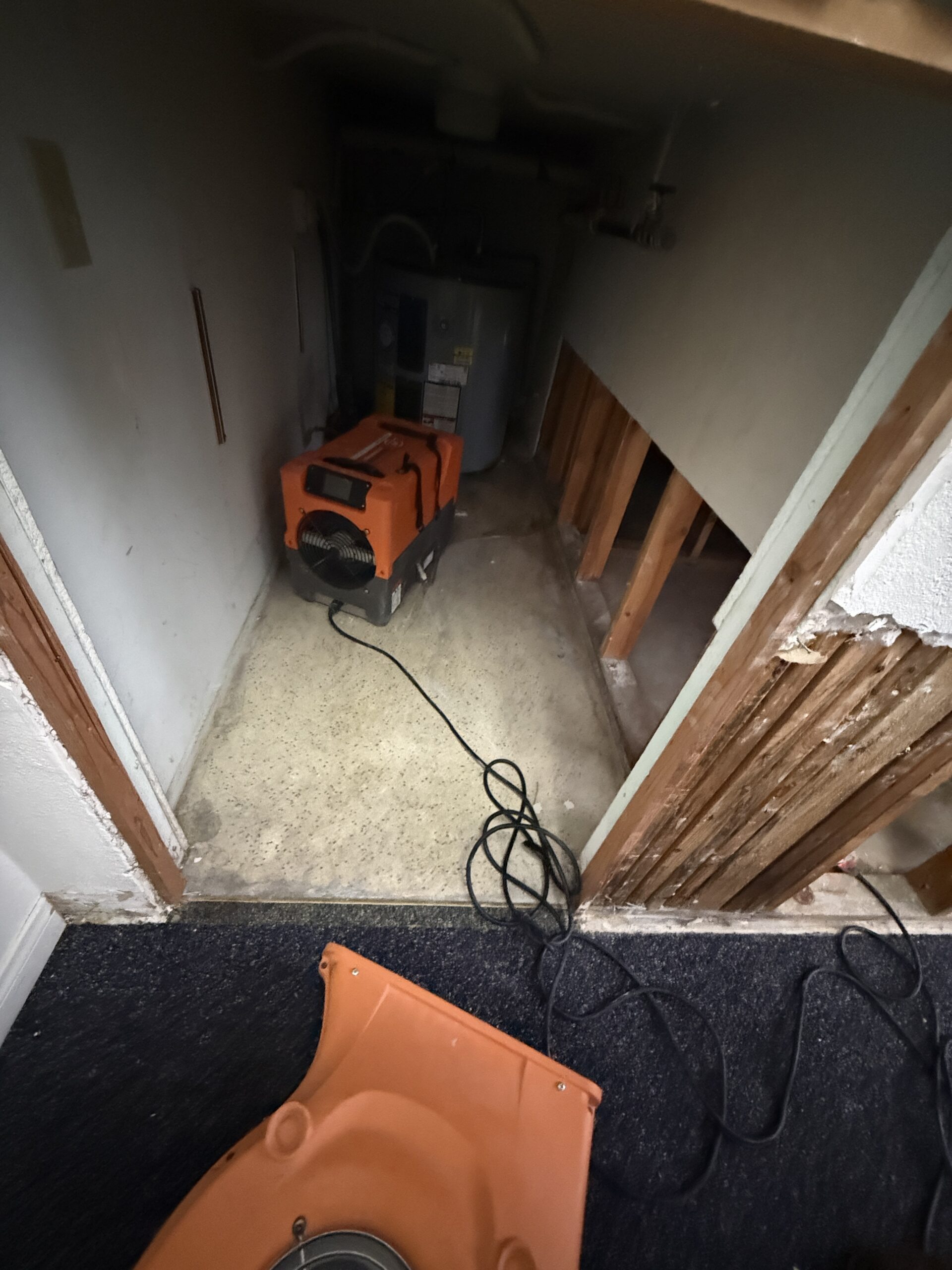 Water damaged drywall being evaluated during structural drying